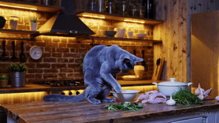 Bad Bella making a mess with chicken